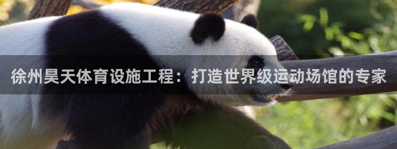 意昂体育3招商电话地址是多少：徐州昊天体育设施工程：