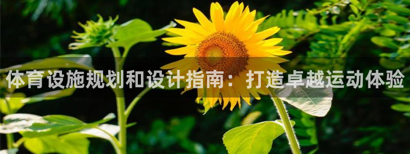 意昂3娱乐网站：体育设施规划和设计指南：打造卓越运动
