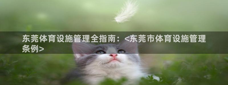 意昂体育3平台是正规平台吗：东莞体育设施管理全指南：