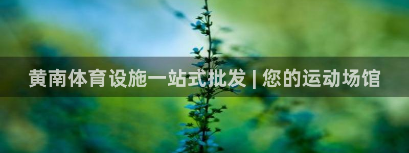 意昂3新能源：黄南体育设施一站式批发 | 您的运动场