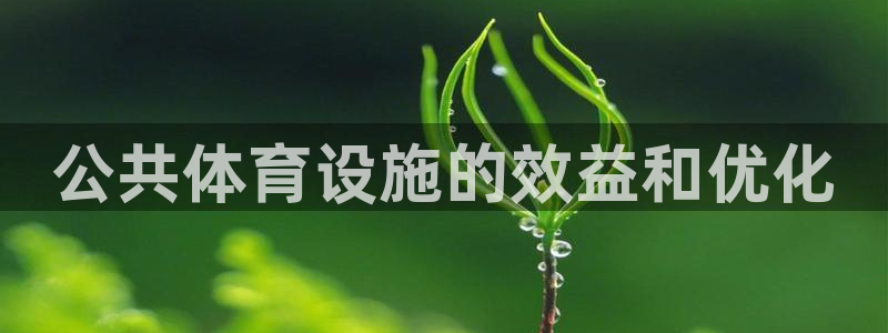 意昂体育3平台注册：公共体育设施的效益和优化