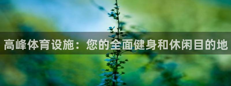 意昂体育3招商电话：高峰体育设施：您的全面健身和休闲