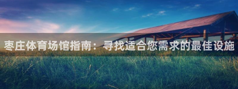 意昂体育3平台假的吗是真的吗：枣庄体育场馆指南：寻找