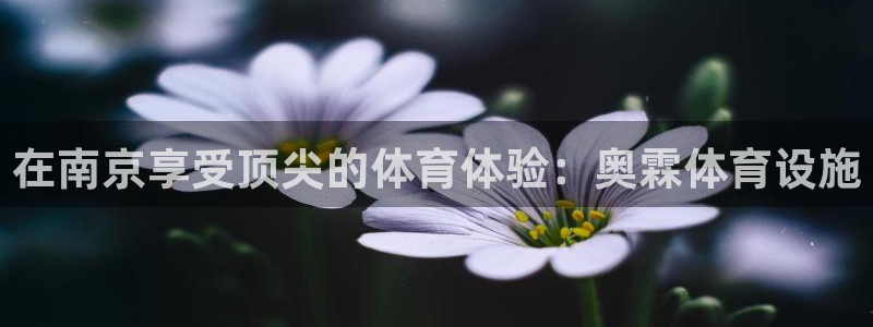 意昂体育3招商电话号码是多少啊：在南京享受顶尖的体育