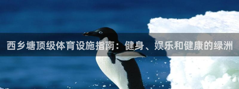 意昂体育3平台是正规平台吗：西乡塘顶级体育设施指南：