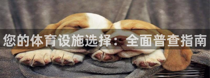 意昂3官方：您的体育设施选择：全面普查指南