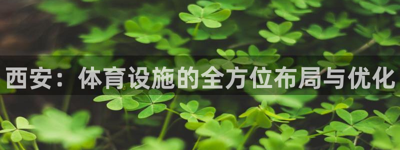意昂体育3平台是正规平台吗安全吗