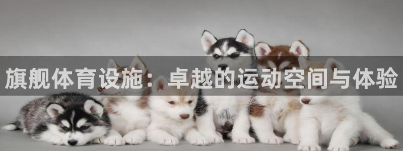 海南意昂体育3