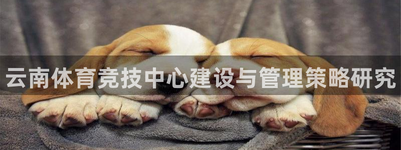 海南意昂体育3