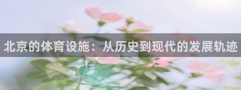 意昂3娱乐代理怎么样
