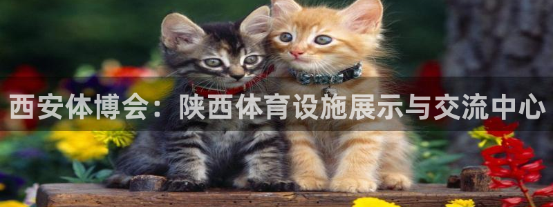 意昂体育3平台假的吗是真的吗吗