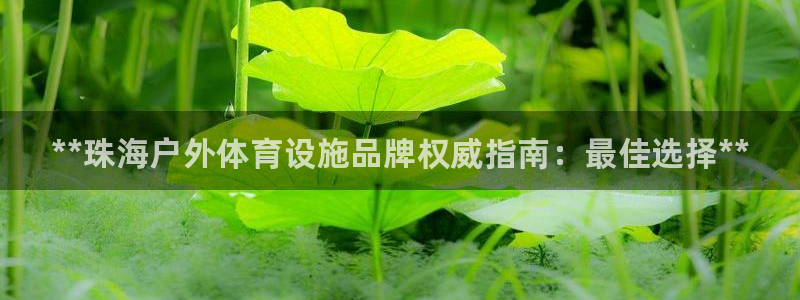 意昂3新能源：**珠海户外体育设施品牌权威指南：最佳选择**