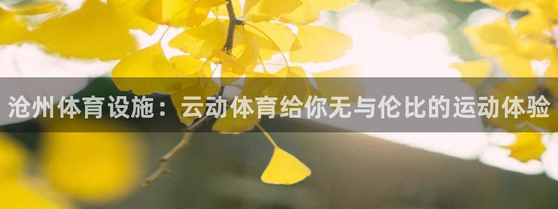 意昂3娱乐网站：沧州体育设施：云动体育给你无与伦比的运动体验
