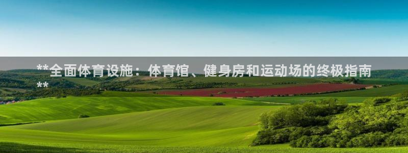 意昂3代理：**全面体育设施：体育馆、健身房和运动场的终极指