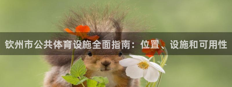 意昂3娱乐网站：钦州市公共体育设施全面指南：位置、设施和可用