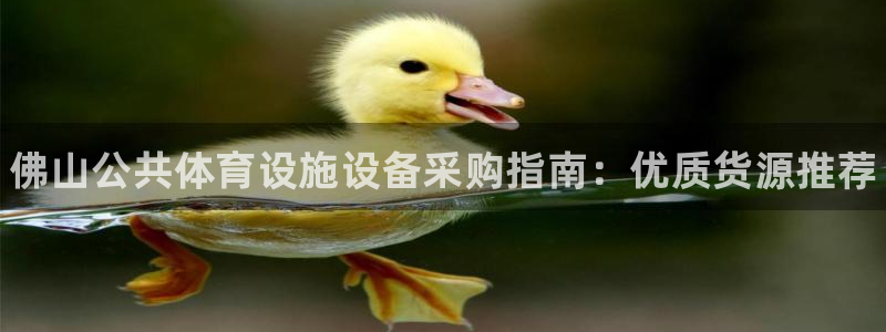 意昂体育3招商电话地址：佛山公共体育设施设备采购指南：优质货
