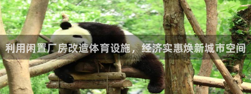 注册意昂3：利用闲置厂房改造体育设施，经济实惠焕新城