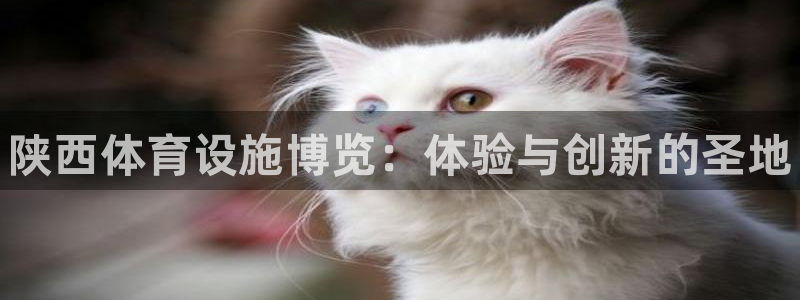意昂3官方：陕西体育设施博览：体验与创新的圣地