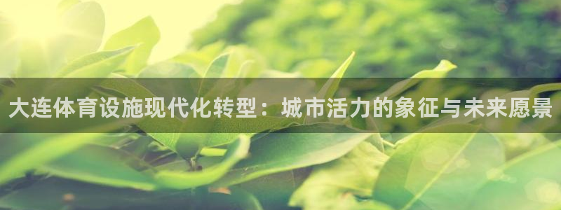德国意昂3集团：大连体育设施现代化转型：城市活力的象征与未来