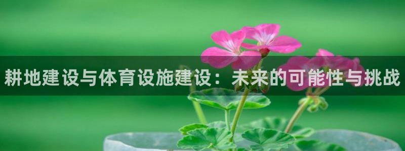 意昂体育3平台是正规平台吗安全吗：耕地建设与体育设施