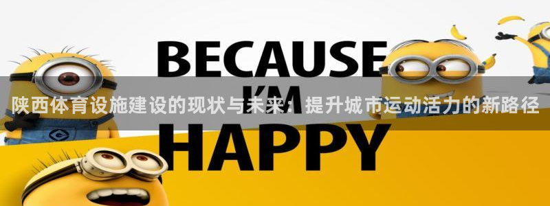意昂3开户：陕西体育设施建设的现状与未来：提升城市运