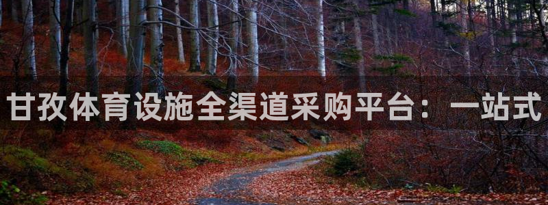 意昂体育3招商电话：甘孜体育设施全渠道采购平台：一站式