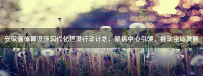 意昂体育3招商：安徽省体育设施现代化建设行动计划：聚