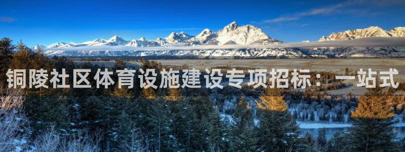 意昂集团官网：铜陵社区体育设施建设专项招标：一站式