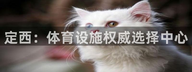 意昂3开户：定西：体育设施权威选择中心