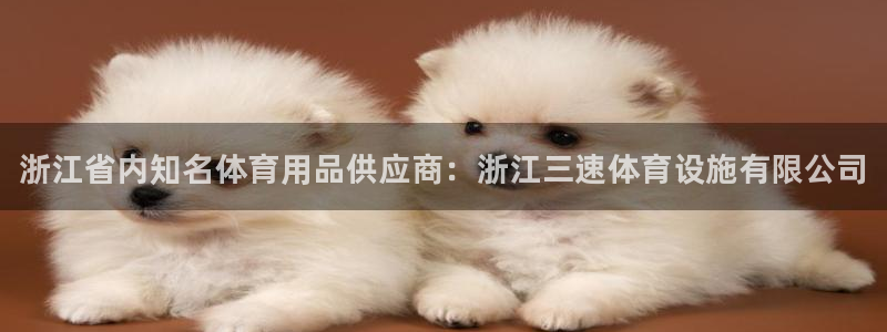 意昂体育3开户：浙江省内知名体育用品供应商：浙江三速