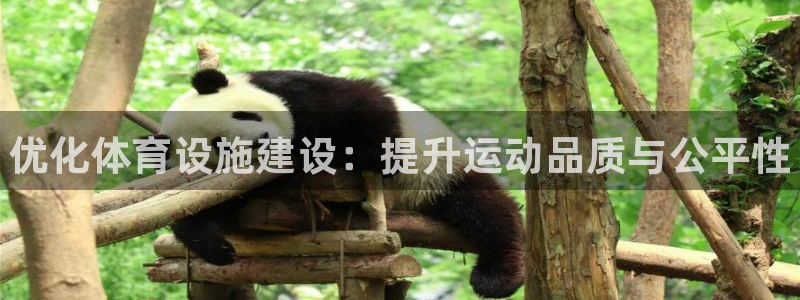 意昂体育3平台注册流程视频：优化体育设施建设：提升运动品质与