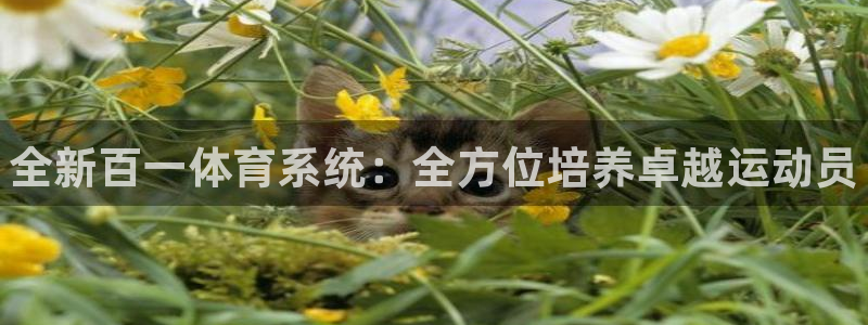 意昂体育3平台是正规平台吗：全新百一体育系统：全方位