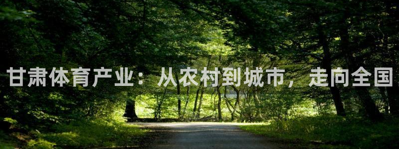 意昂3娱乐首页官网下载：甘肃体育产业：从农村到城市，走向全国