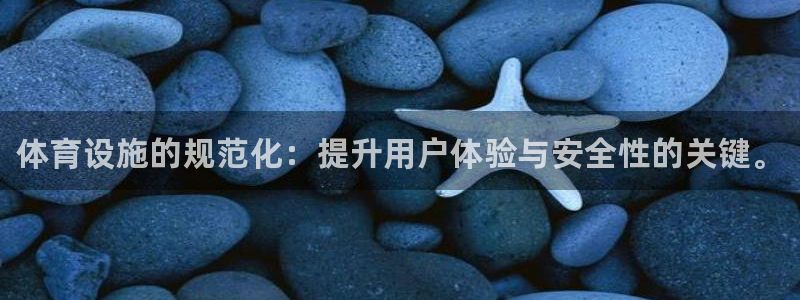 意昂体育3招商电话是多少：体育设施的规范化：提升用户体验与安