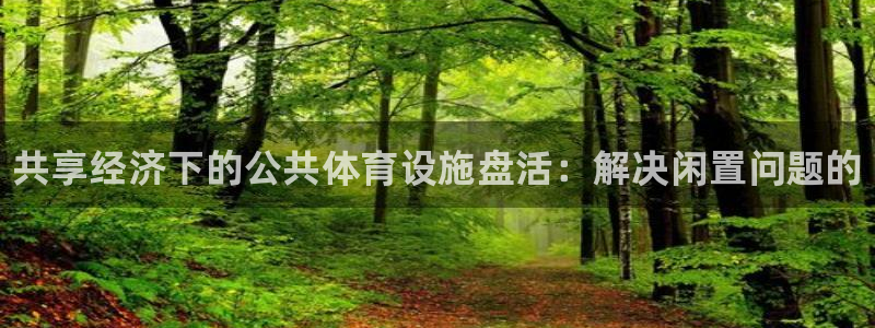 意昂3娱乐：共享经济下的公共体育设施盘活：解决闲置问题的