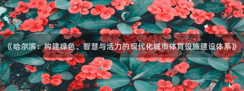 意昂体育3平台注册要钱吗安全吗：《哈尔滨：构建绿色、智慧与活