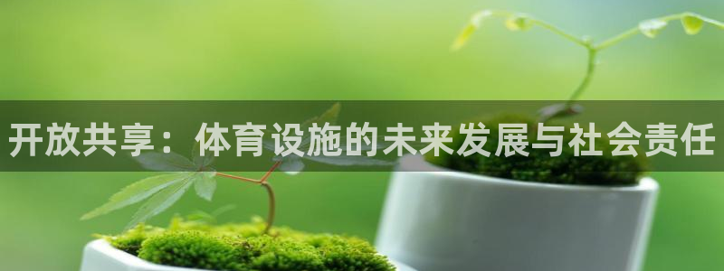 意昂3集团简介：开放共享：体育设施的未来发展与社会责任