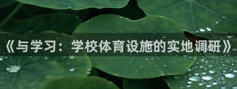 意昂3娱乐平台：《与学习：学校体育设施的实地调研》