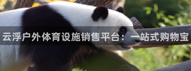 意昂体育3招商电话是多少啊：云浮户外体育设施销售平台：一站式